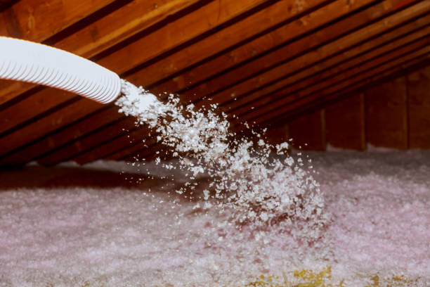Best Commercial Insulation in Portage, MI