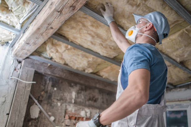 Best Cellulose Insulation in Portage, MI